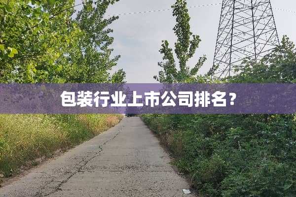 包装行业上市公司排名？