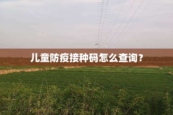 儿童防疫接种码怎么查询？