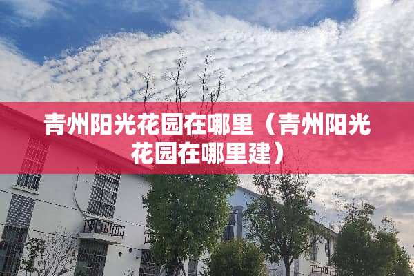 青州阳光花园在哪里（青州阳光花园在哪里建）