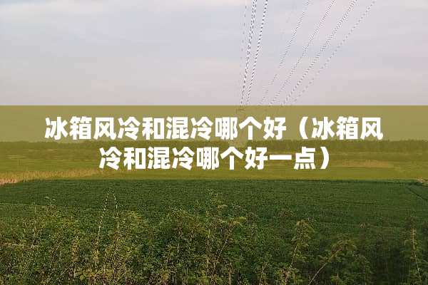 冰箱风冷和混冷哪个好（冰箱风冷和混冷哪个好一点）