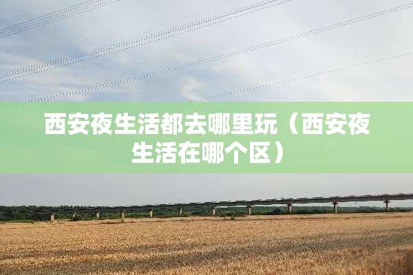 西安夜生活都去哪里玩（西安夜生活在哪个区）