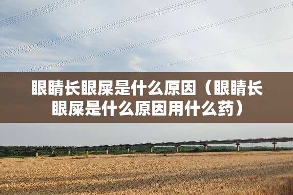 眼睛长眼屎是什么原因（眼睛长眼屎是什么原因用什么药）