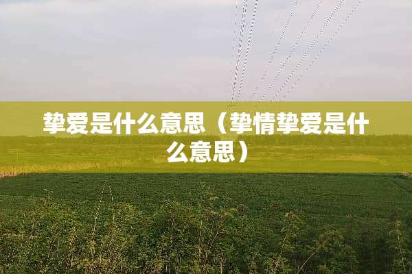 挚爱是什么意思（挚情挚爱是什么意思）