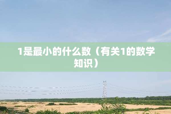 1是最小的什么数（有关1的数学知识）
