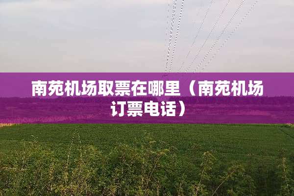 南苑机场取票在哪里（南苑机场订票电话）