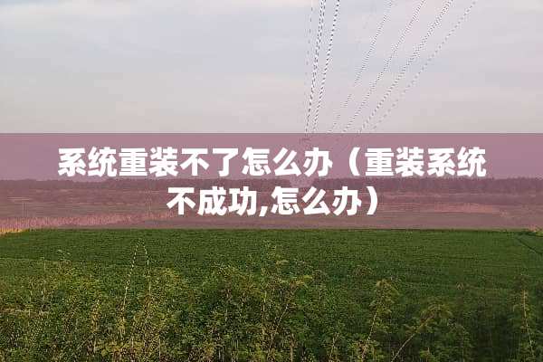 系统重装不了怎么办（重装系统不成功,怎么办）