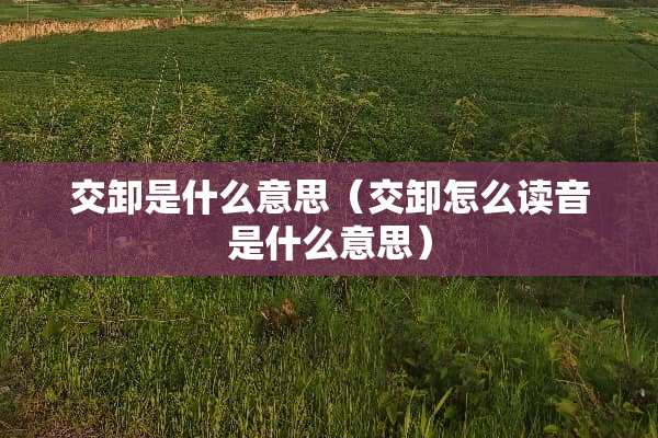 交卸是什么意思（交卸怎么读音是什么意思）