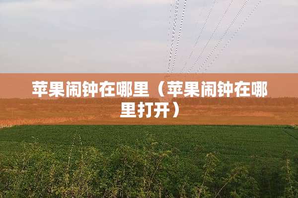 苹果闹钟在哪里（苹果闹钟在哪里打开）