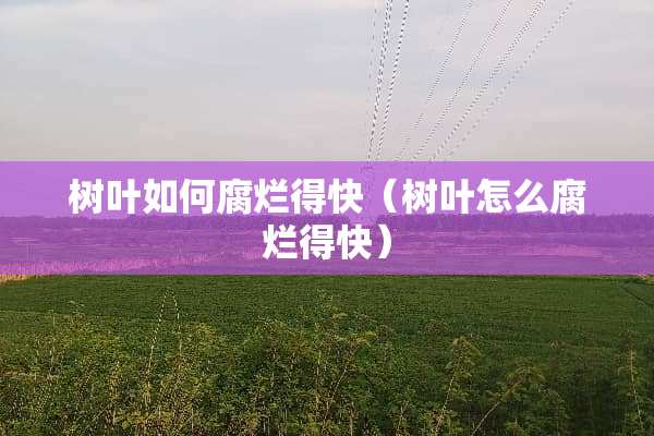 树叶如何腐烂得快（树叶怎么腐烂得快）
