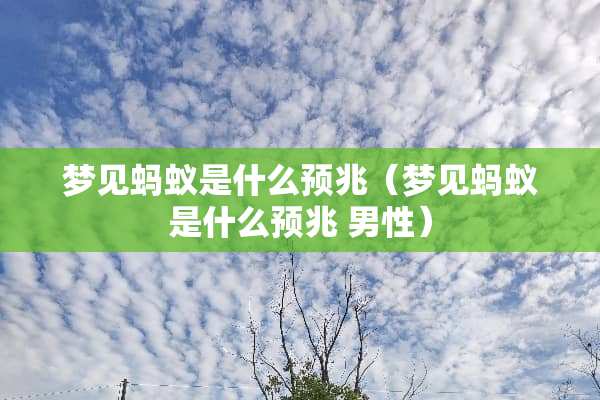 梦见蚂蚁是什么预兆（梦见蚂蚁是什么预兆 男性）