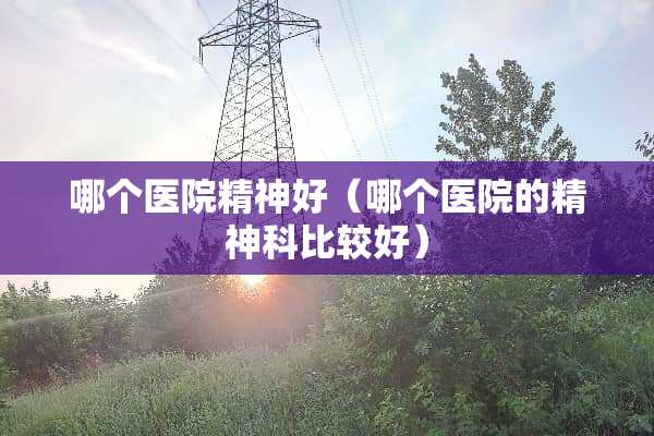 哪个医院精神好（哪个医院的精神科比较好）