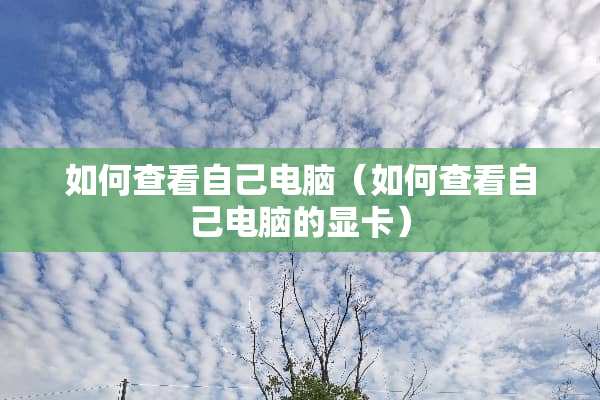 如何查看自己电脑（如何查看自己电脑的显卡）