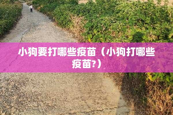小狗要打哪些**（小狗打哪些**?）