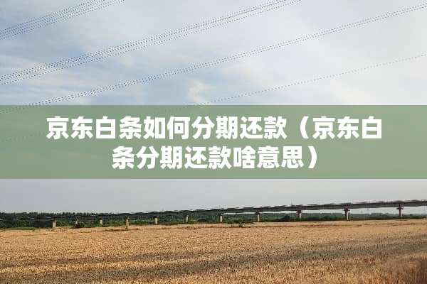 京东白条如何分期还款（京东白条分期还款啥意思）