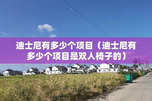 迪士尼有多少个项目（迪士尼有多少个项目是双人椅子的）