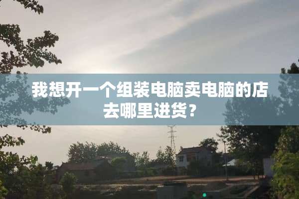 我想开一个组装电脑卖电脑的店去哪里进货？