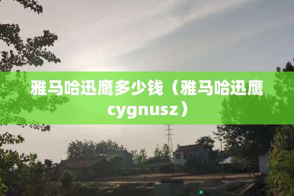 ***迅鹰多少钱（***迅鹰cygnusz）