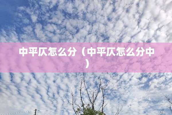 中平仄怎么分（中平仄怎么分中）