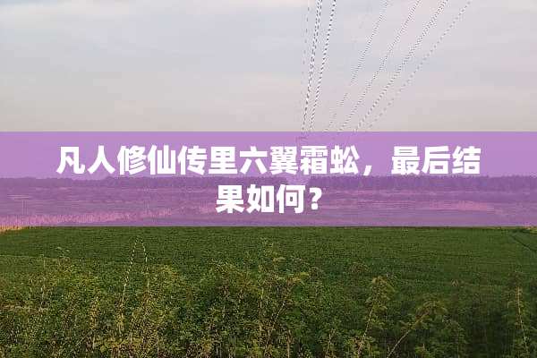 凡人修仙传里六翼霜蚣，最后结果如何？
