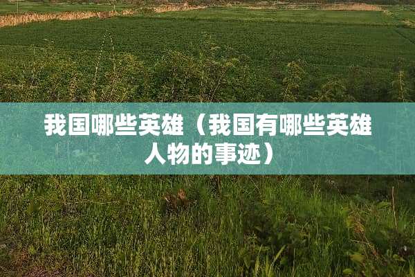 我国哪些英雄（我国有哪些英雄人物的事迹）