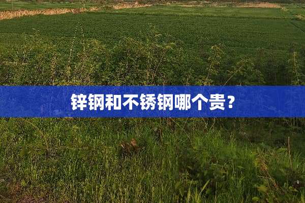锌钢和不锈钢哪个贵？