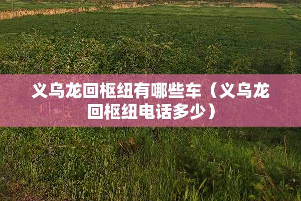 义乌龙回枢纽有哪些车（义乌龙回枢纽电话多少）