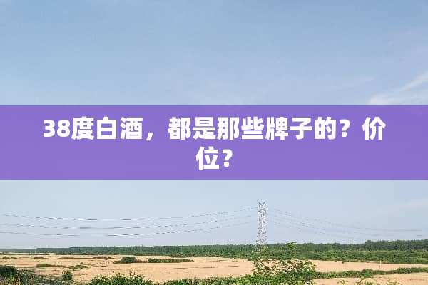 38度白酒，都是那些牌子的？价位？