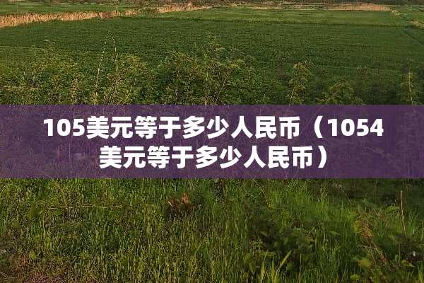 105美元等于多少人民币（1054美元等于多少人民币）