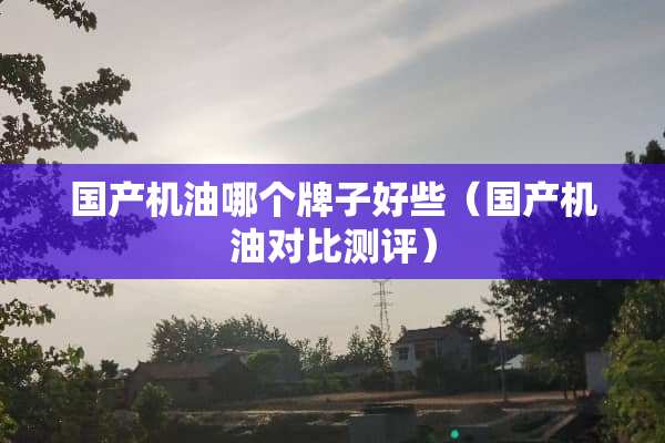 国产机油哪个牌子好些（国产机油对比测评）