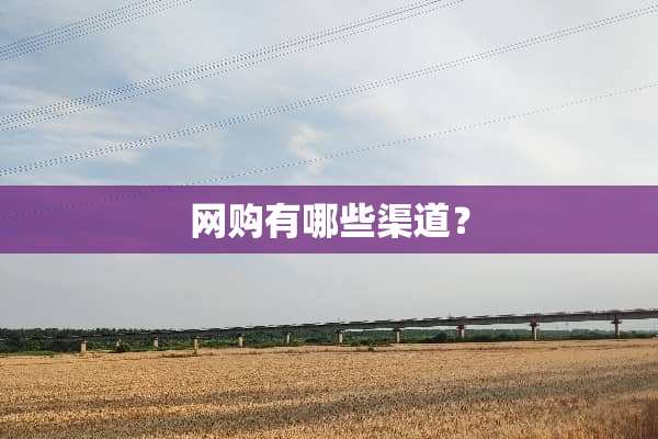 网购有哪些渠道？