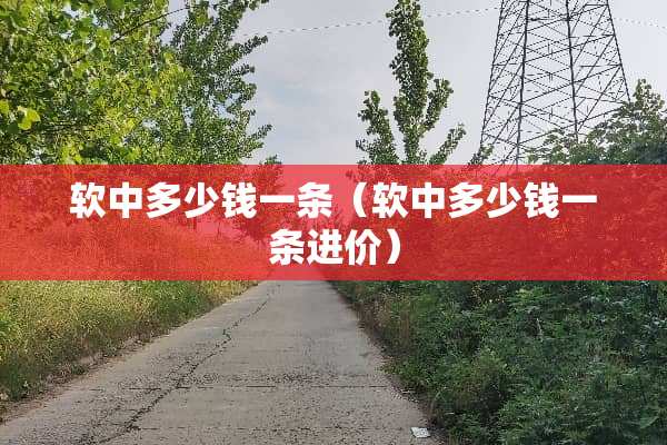 软中多少钱一条（软中多少钱一条进价）