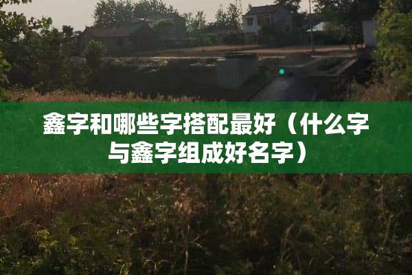 鑫字和哪些字搭配最好（什么字与鑫字组成好名字）