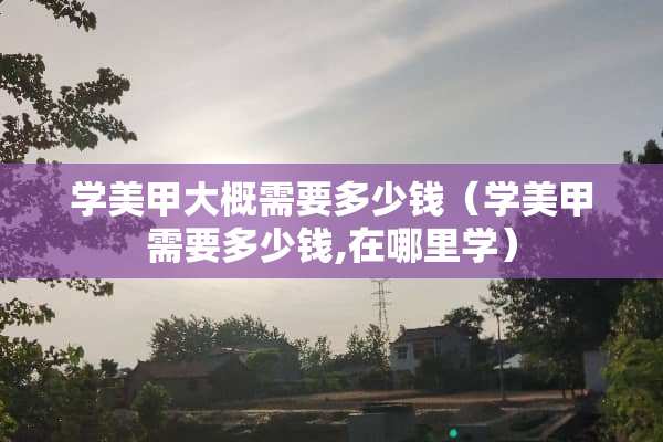 学美甲大概需要多少钱（学美甲需要多少钱,在哪里学）