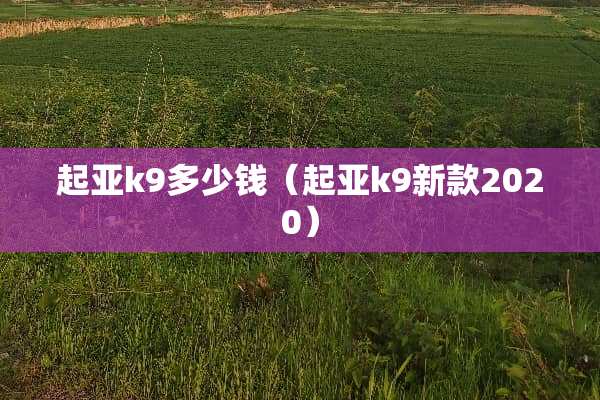 起亚k9多少钱（起亚k9新款2020）