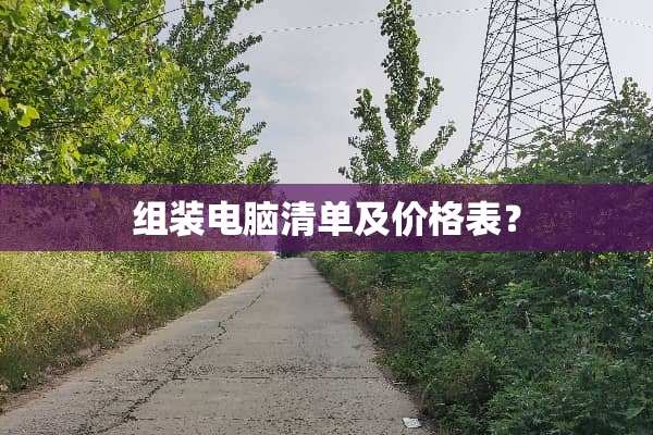 组装电脑清单及价格表？