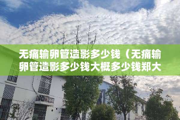无痛输卵管造影多少钱（无痛输卵管造影多少钱大概多少钱郑大医附院）