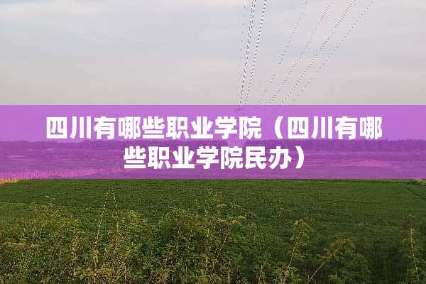 四川有哪些职业学院（四川有哪些职业学院民办）