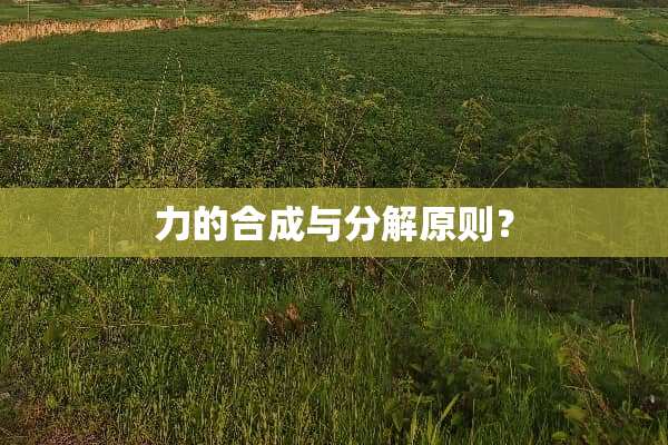力的合成与分解原则？