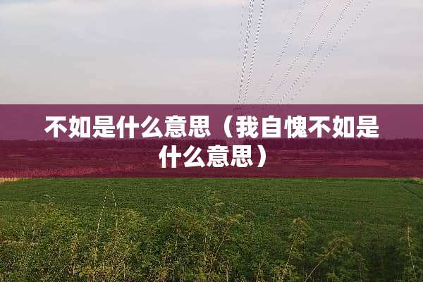 不如是什么意思（我自愧不如是什么意思）