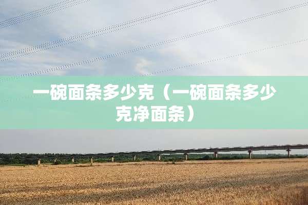 一碗面条多少克（一碗面条多少克净面条）