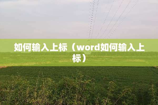 如何输入上标（word如何输入上标）
