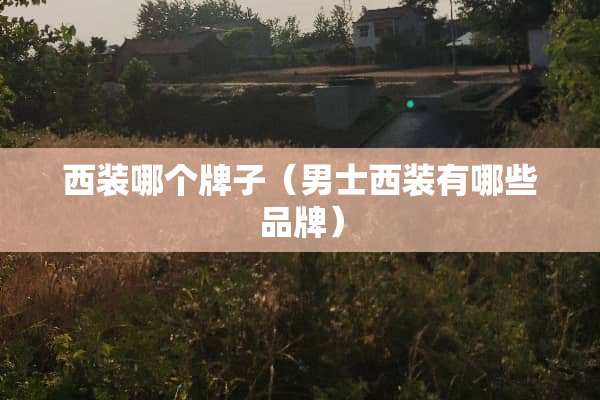 西装哪个牌子（男士西装有哪些品牌）