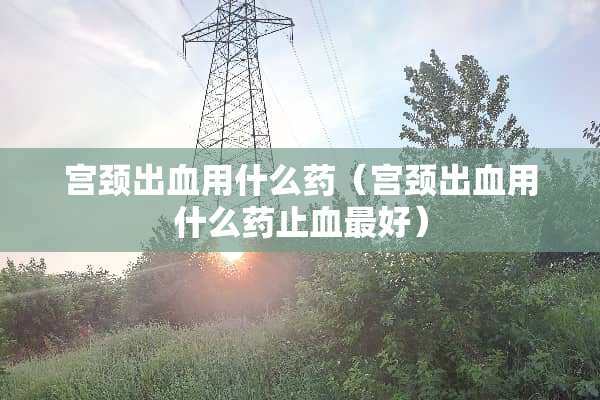 宫颈出血用什么药（宫颈出血用什么药止血最好）