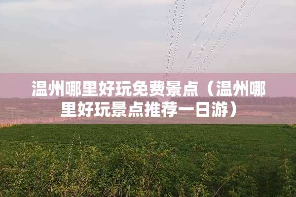 温州哪里好玩免费景点（温州哪里好玩景点推荐一日游）