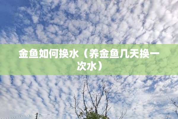 金鱼如何换水（养金鱼几天换一次水）