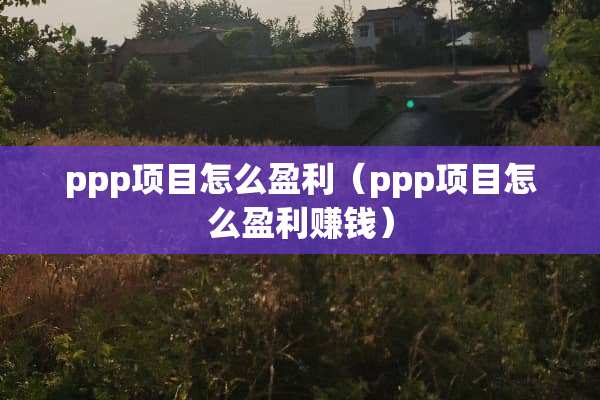 ppp项目怎么盈利（ppp项目怎么盈利赚钱）