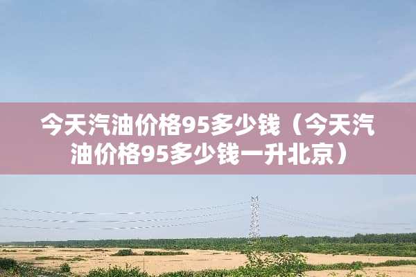 今天汽油价格95多少钱（今天汽油价格95多少钱一升北京）