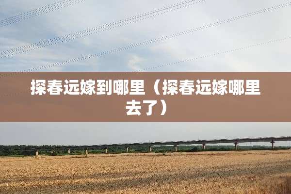 探春远嫁到哪里（探春远嫁哪里去了）