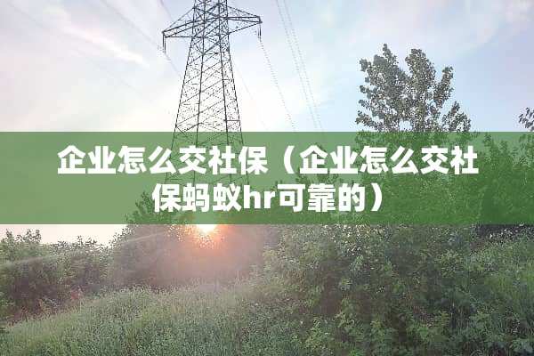企业怎么交社保（企业怎么交社保蚂蚁hr可靠的）