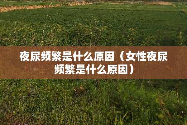 夜尿频繁是什么原因（女**尿频繁是什么原因）